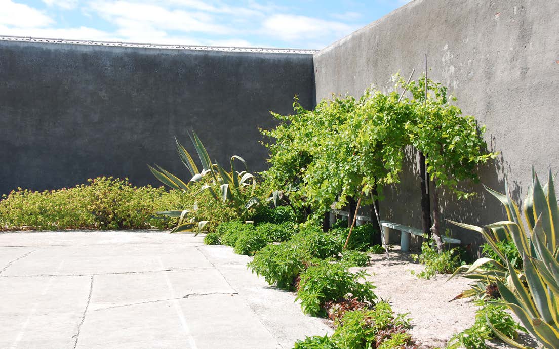 Mandela's Garden at Robben Island