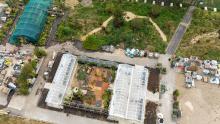 Cultivate Colindale